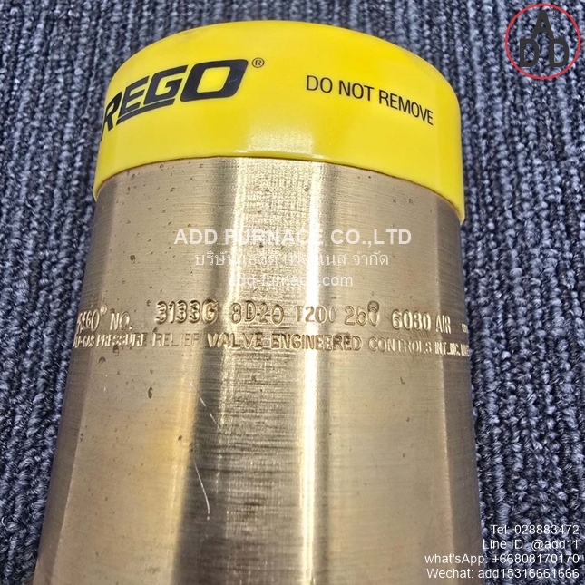 Rego 3133G Safety Relief Valve (4)